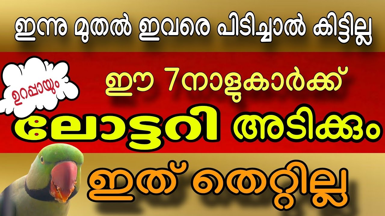 ഈ 7 നക്ഷത്രക്കാർക്ക് ക്രിസ്തുമസ്സ് ബംബർ അടിക്കും ! തീർച്ച  2025 These 7 Star Signs Will Win the ...
