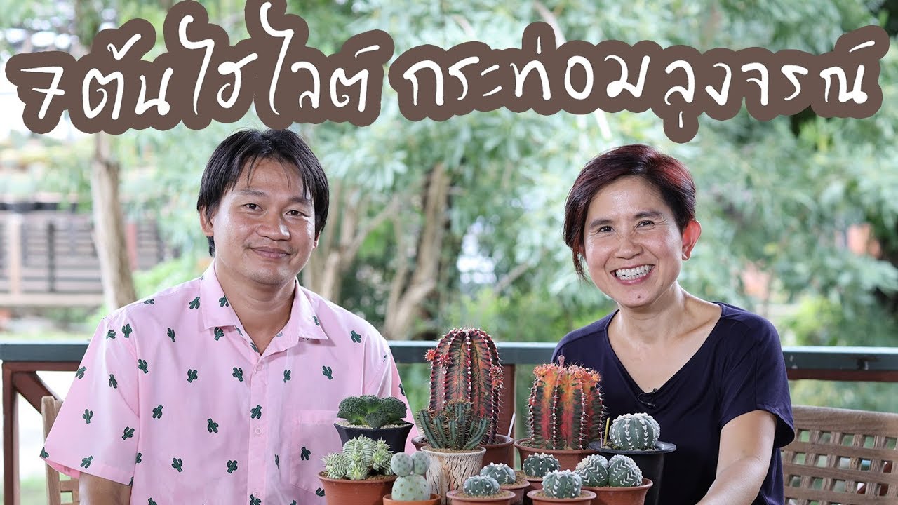 7 ต้นไฮไลต์ สวนกระท่อมลุงจรณ์ | Cactus Journey EP.42