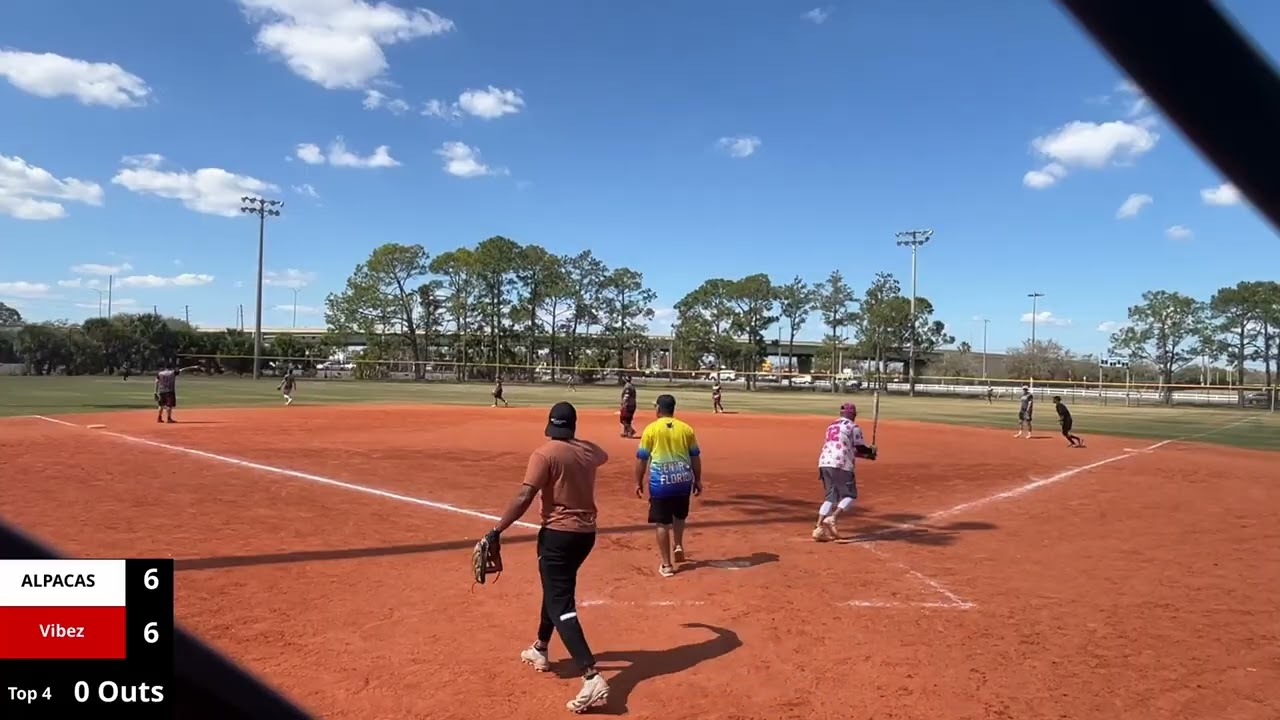 Vibez vs ALPACAS condensed game (Dingers at the Lake Tournament)