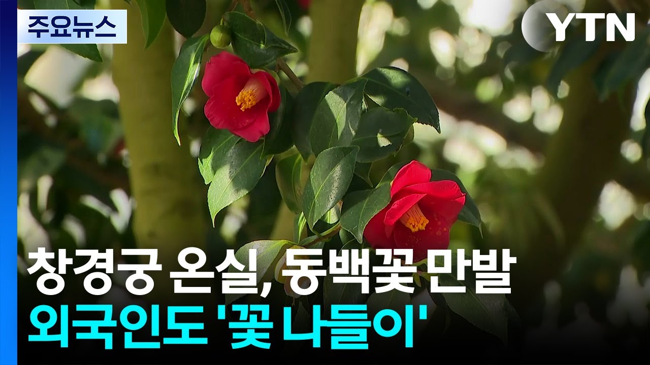 외국인도 사로잡은 창경궁...온실 가득 ’싱그러움’ / YTN