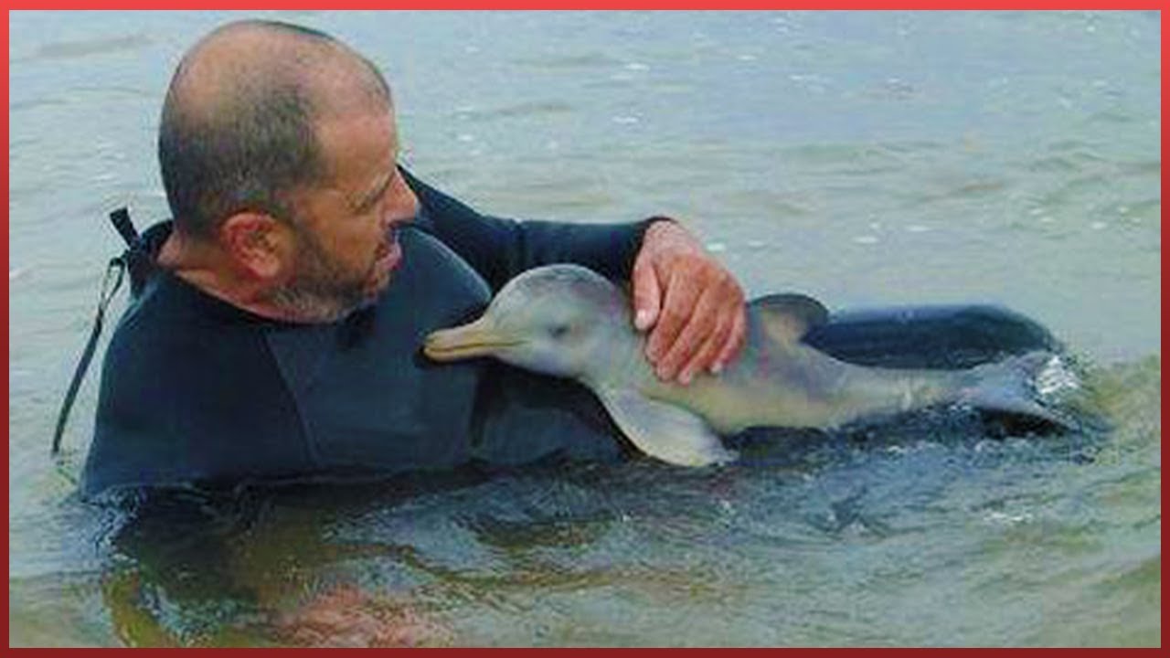 35 Acts Of Kindness Towards Animals That Will Make You Cry❤