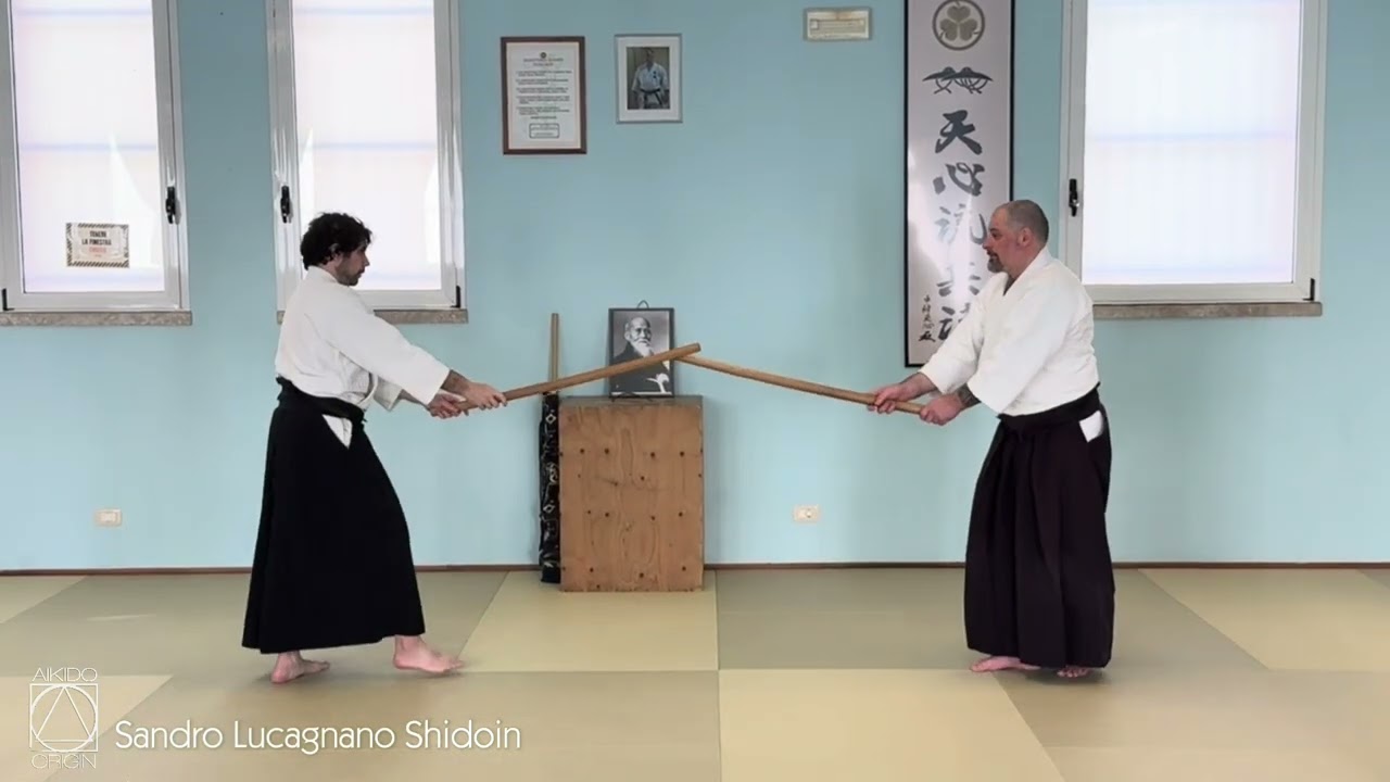 Ken awase - armonizzazioni fondamentali con la spada #aikido
