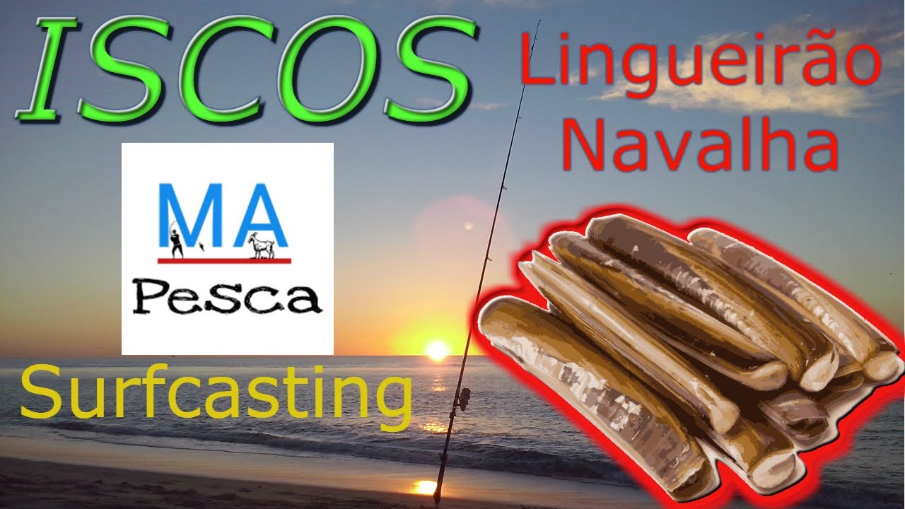 Como iscar Lingueirão / navalha - Muergo, Longueiron, Razor Fish/Clam, Couteaux, Cannolicchi #19