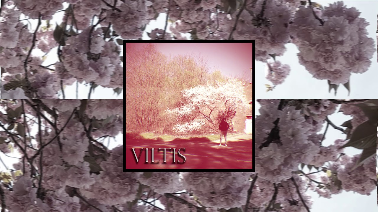 BTH - Viltis feat. Auroch (Prod. by Eric Godlow)
