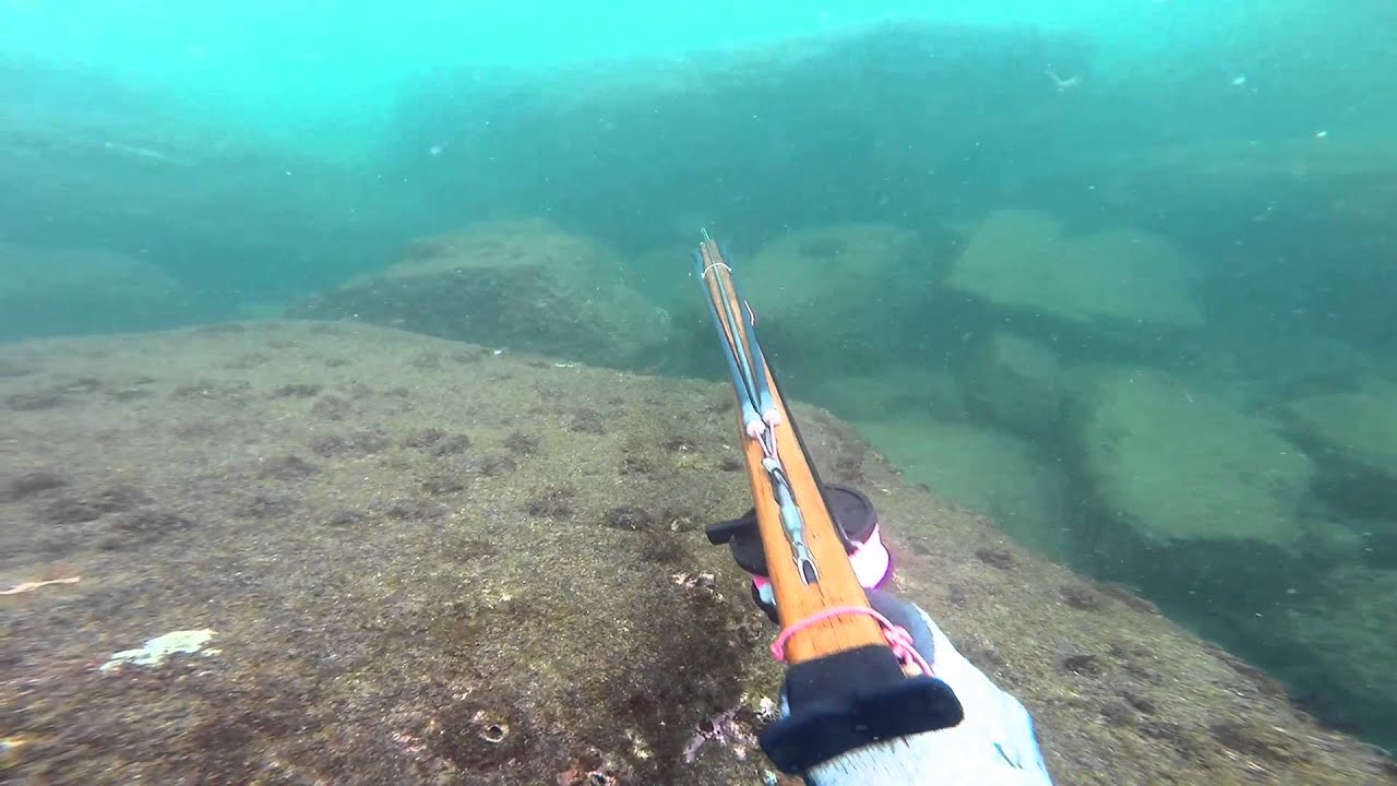 Spearfishing Trinidad - The North Coast Life