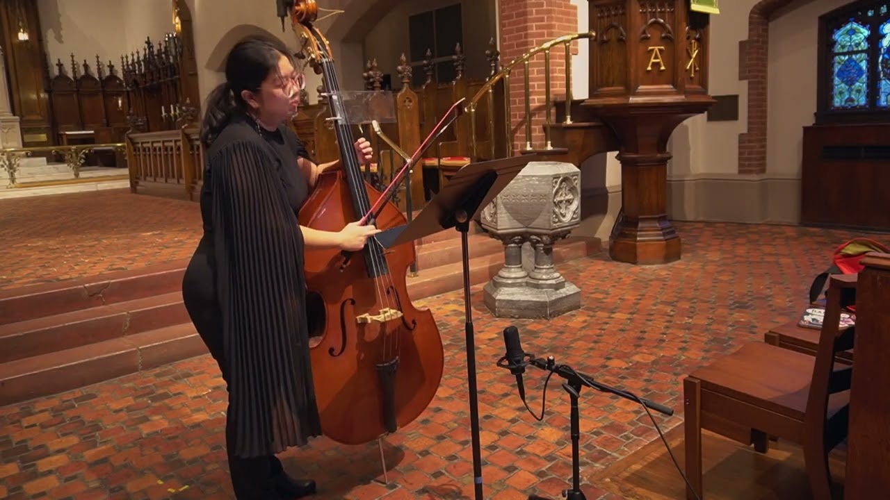 Majid Araim - A Life Cycle ex: 3 (Emily Koh, double bass)