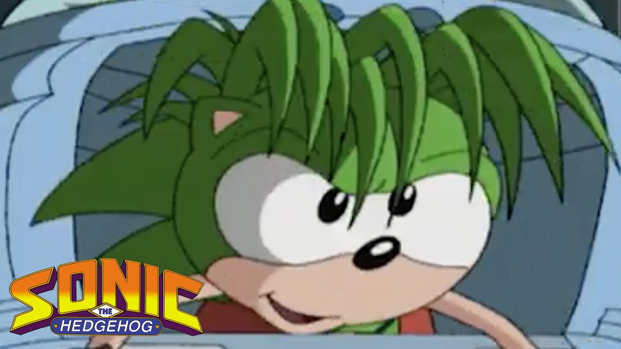 Curadora Sonic El Erizo | Dibujos Animados Para Niños