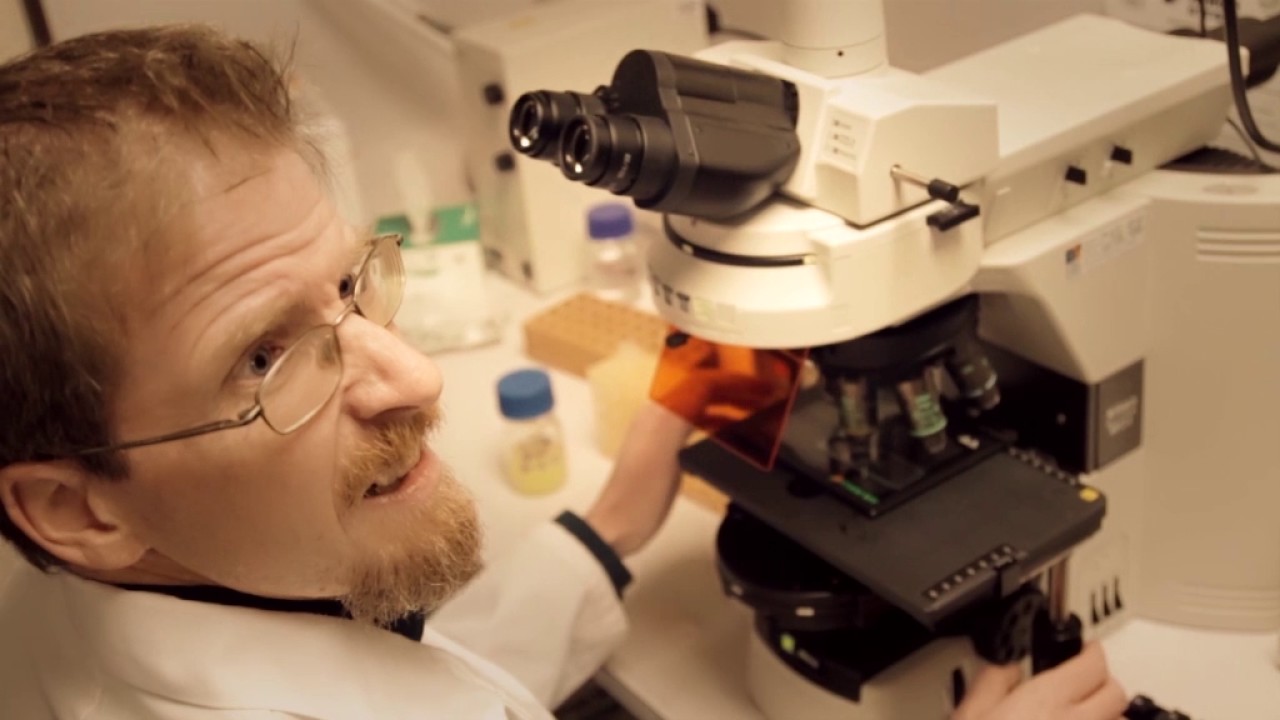 Liquid Sexed Semen Project Team Led by Zhenzhong Xu - Agricultural Science
