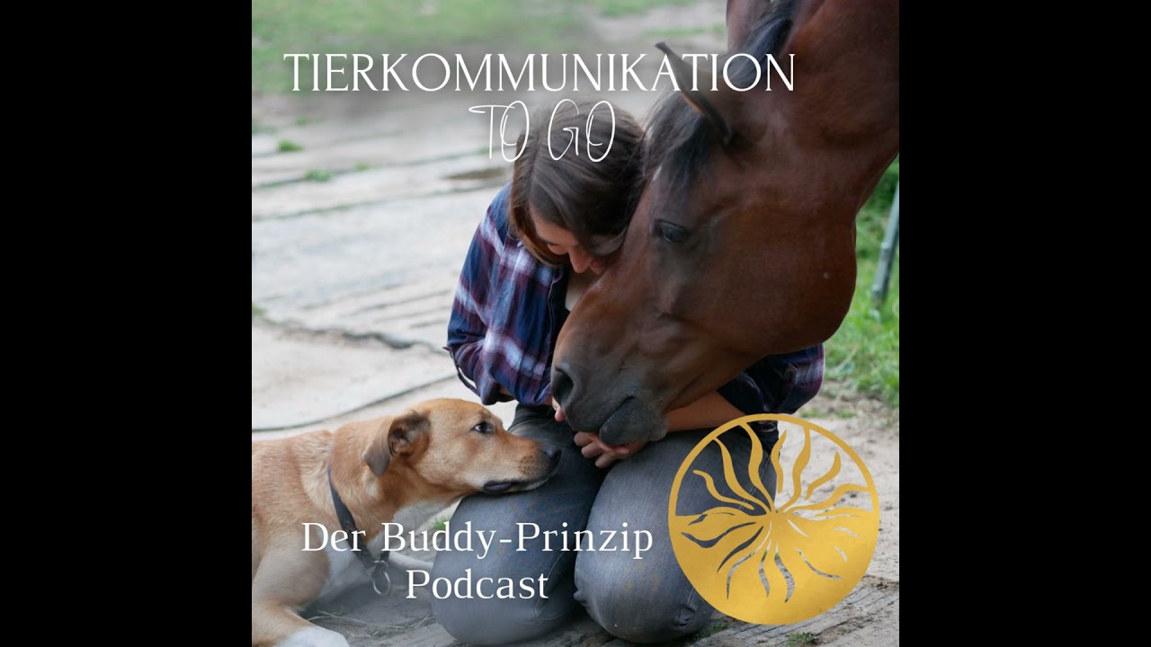 Die Botschaft der Bären