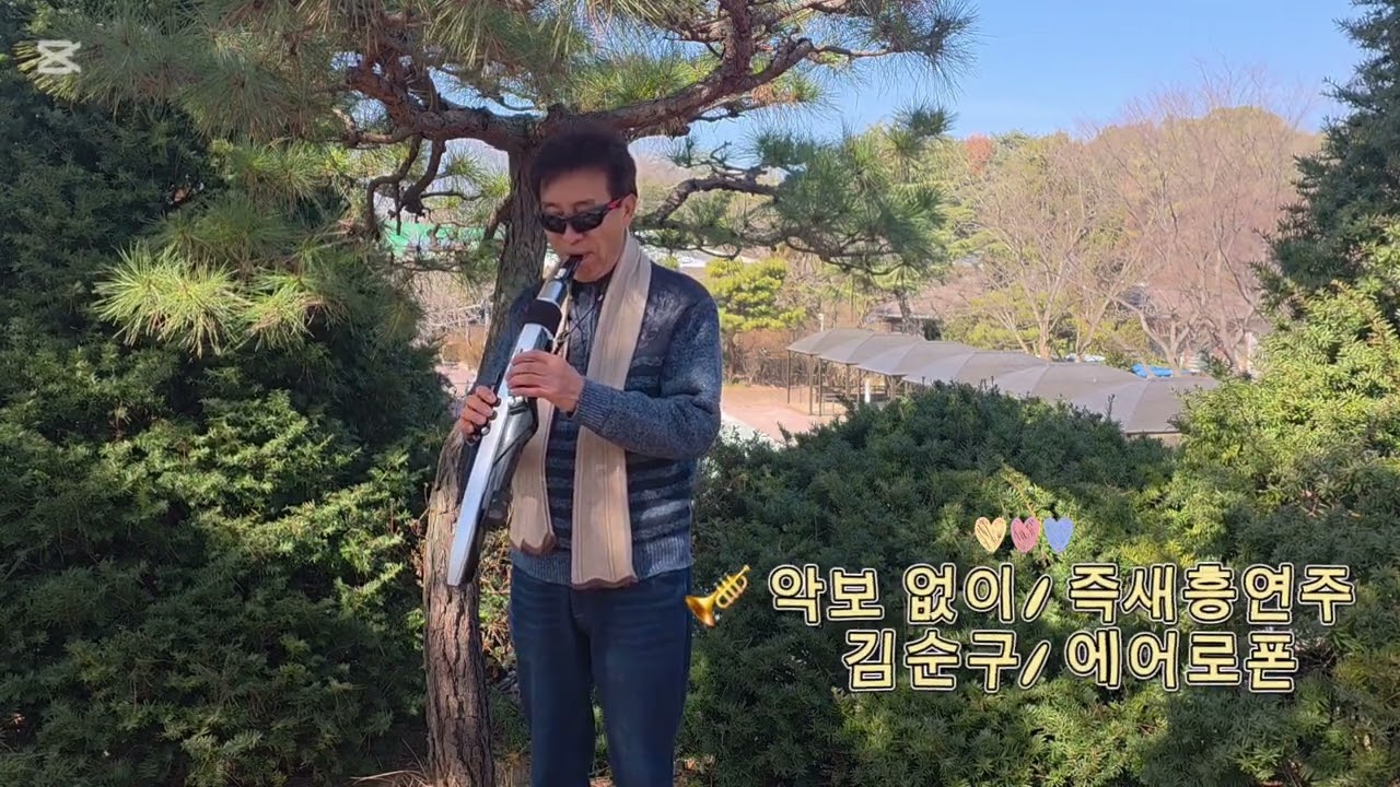 사랑의미로/노래 최진희