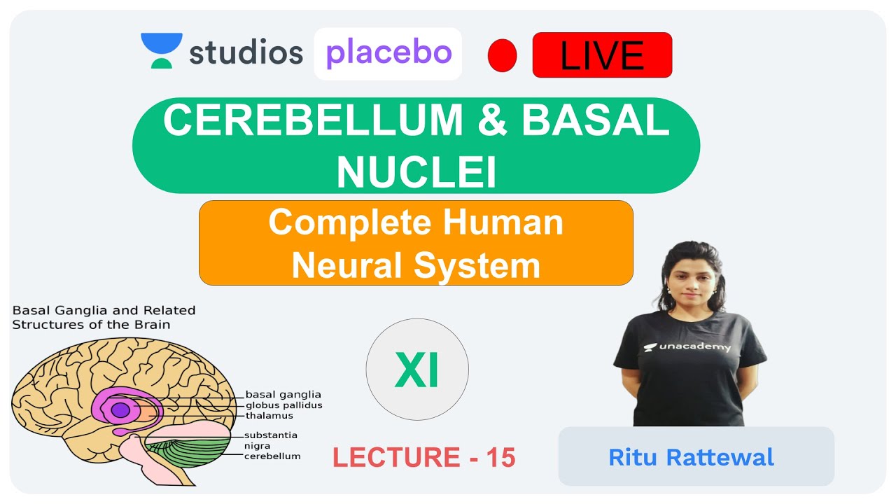 Phoenix 2.0: Biology Most Important Video for NEET 2025 | Udaan
