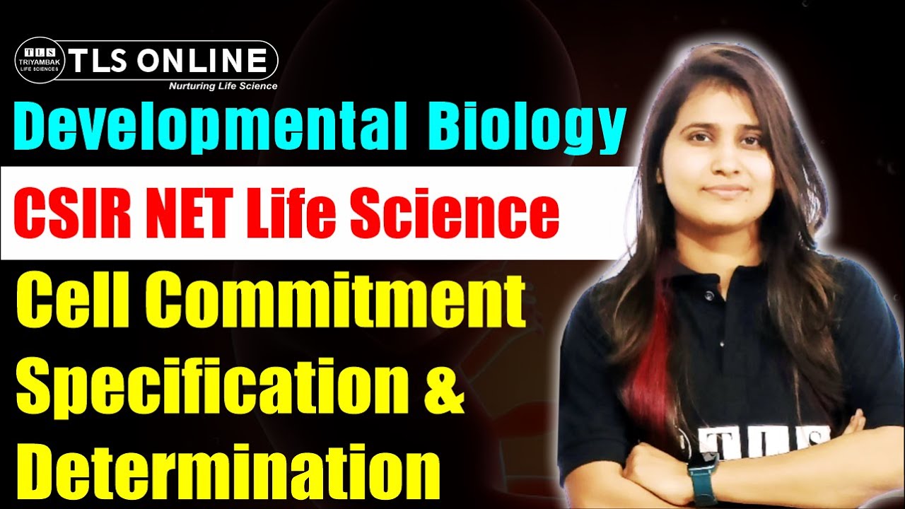 Cell CommitmentSpecification & Determination | Developmental Biology | CSIR NET Life Science |
