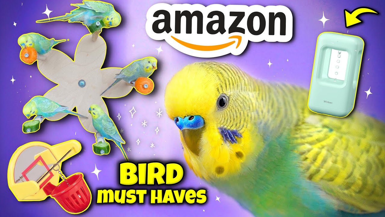 Amazon MUST HAVE для вашей птички №3