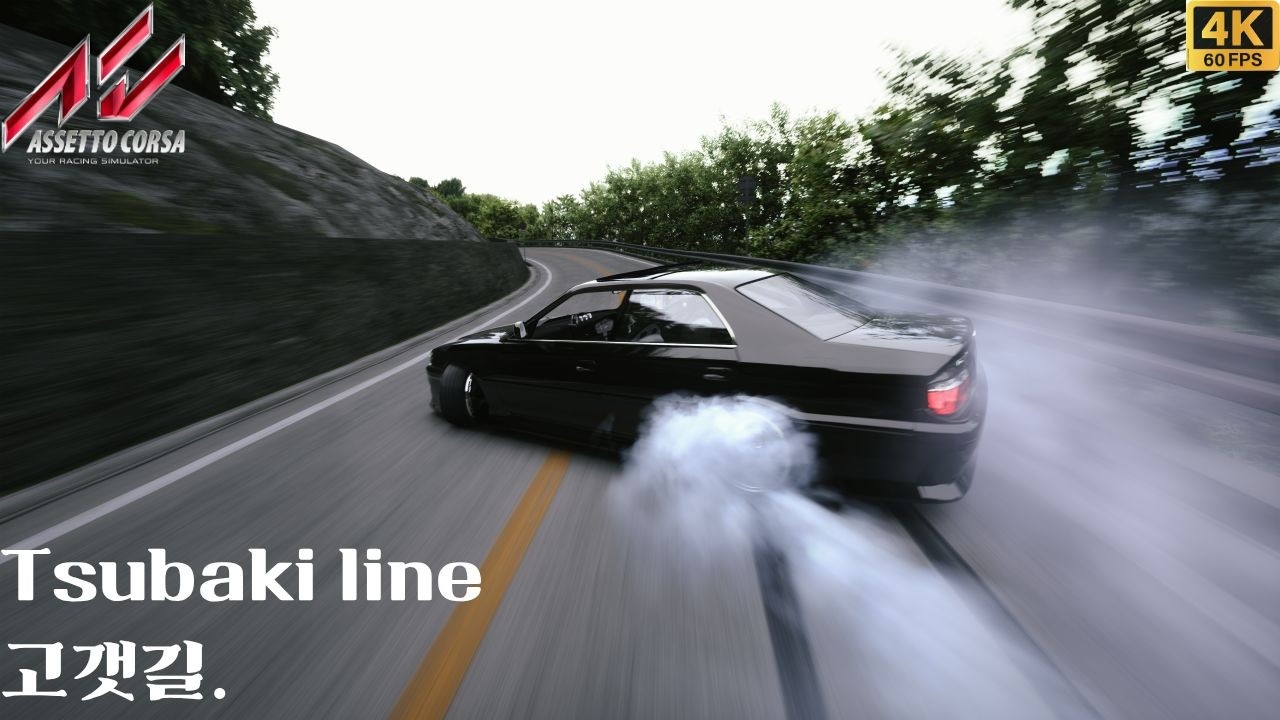 [ASSETTO CORSA]Tsubaki 토우게~~~~