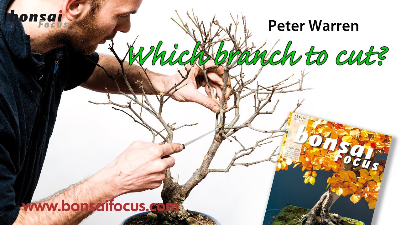 Cutting branches without fear