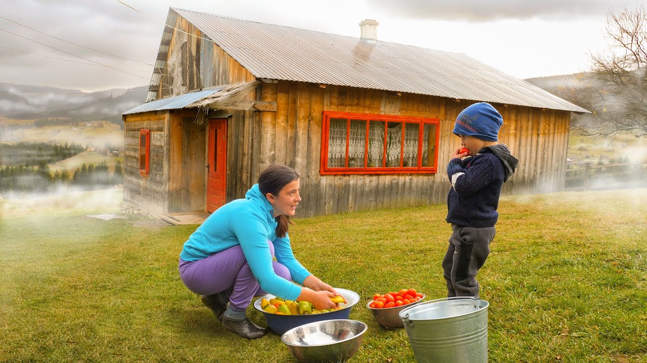 Living Off the Grid: How a Big Family Finds Happiness in the Mountains