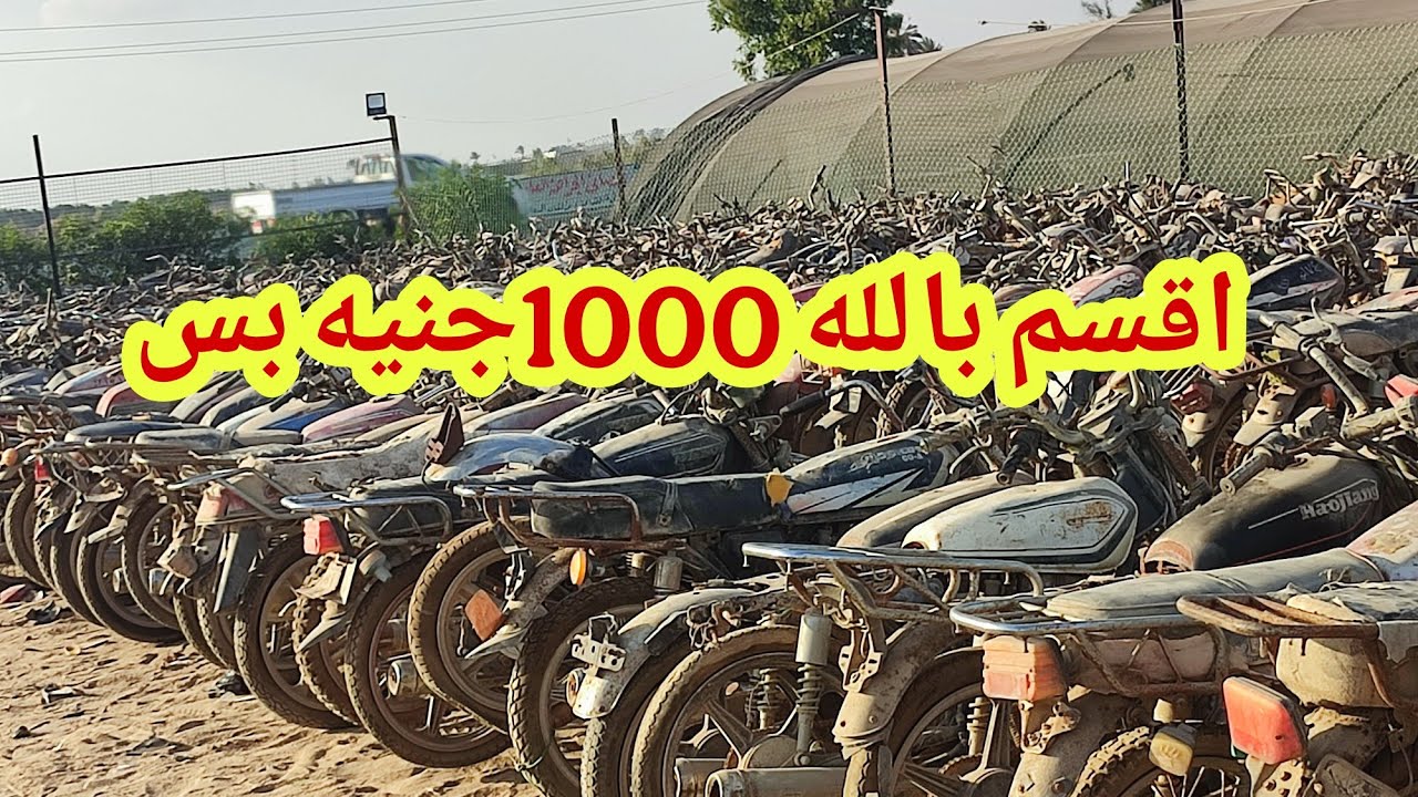 هتركب مكنه أو فزبه ب 1000اقسم الله 
