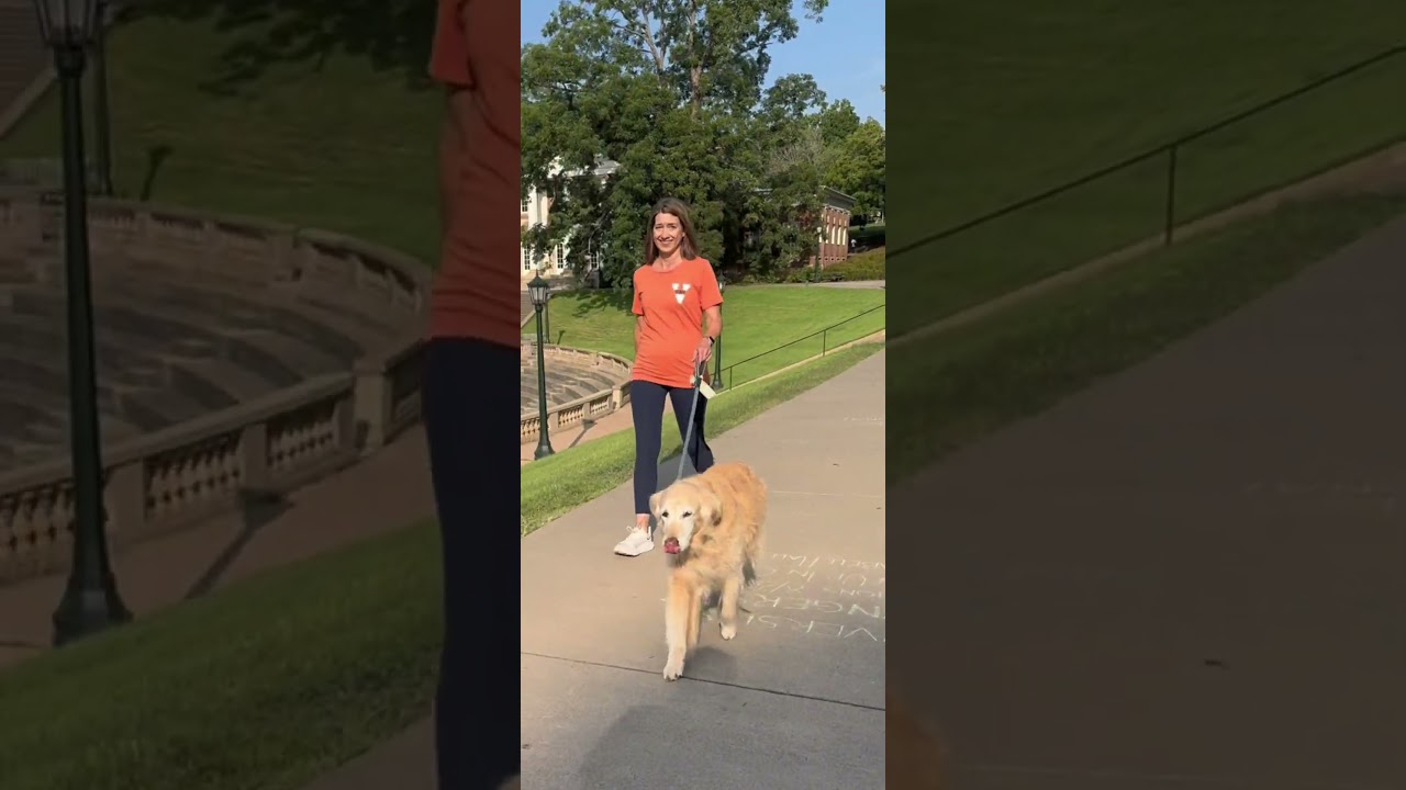 UVA&rsquo;s Class of 2028 Run with Jim :orange_heart: #collegelife #uva #wahoowa