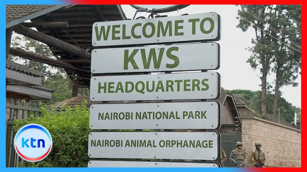 Tourism sector in turmoil over new Kenya Wildlife Service park entry fees