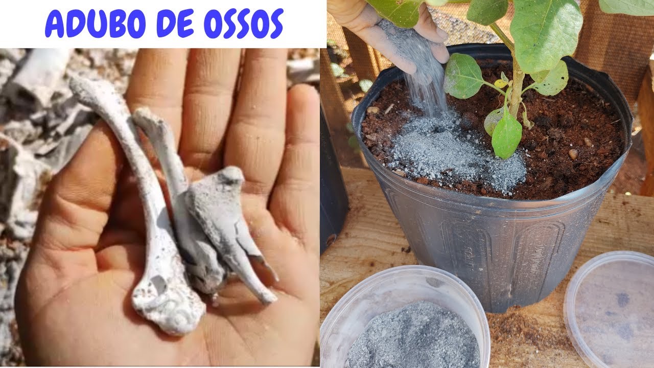 Adubo de ossos  FARINHA DE OSSOS