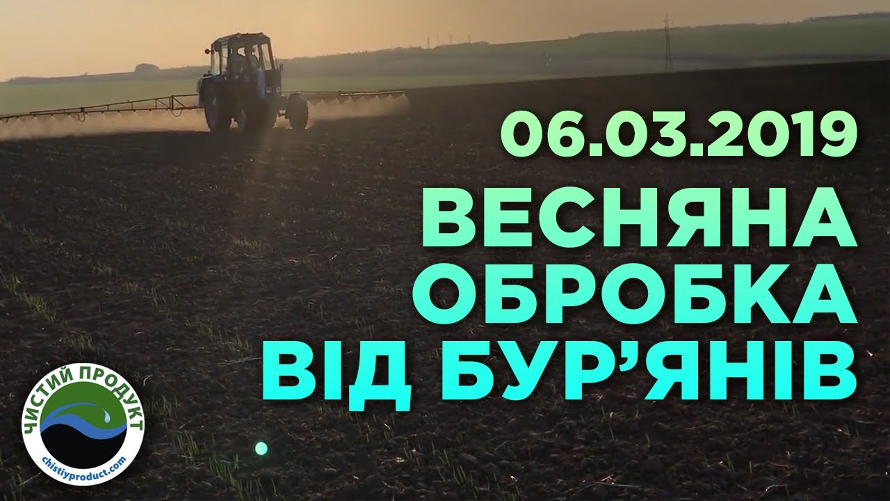 АРХІВ. 06.03.2019 Часник: весняна обробка від бур’янів
