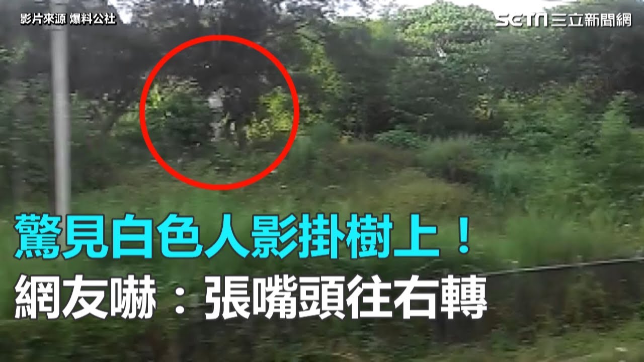 驚見白色人影掛樹上！網友嚇：張嘴頭往右轉｜三立新聞網SETN.com