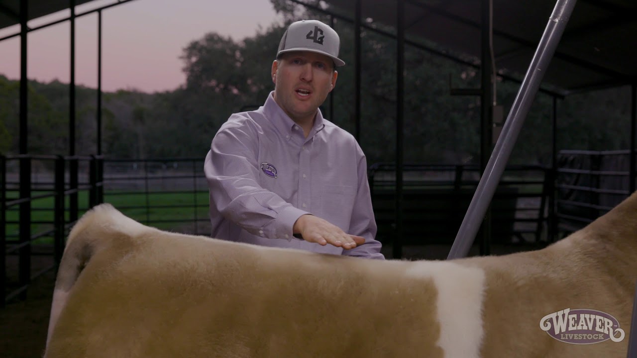 Clipping a Topline