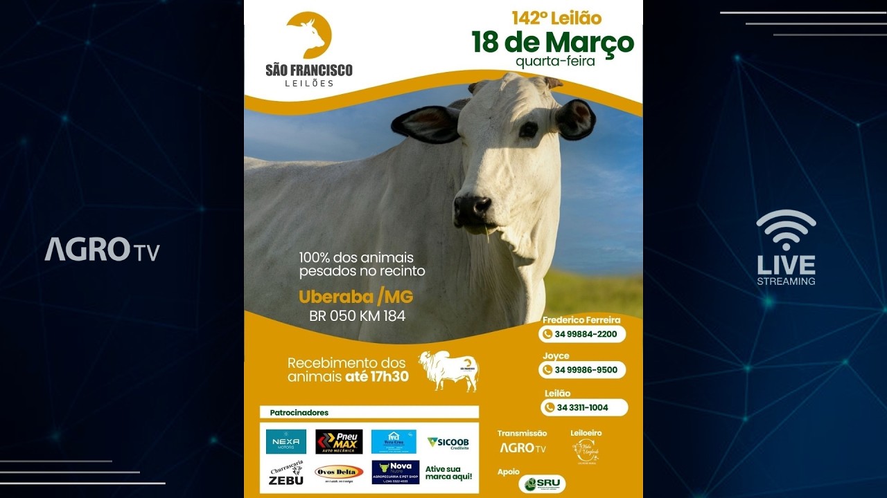 SÃO FRANCISCO LEILÕES - 18/03/2026