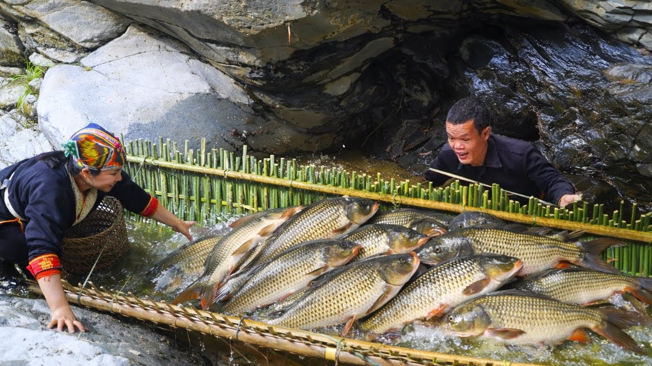 Primitive Fish Traps by Dwarf Family | Catching Wild Stream Fish & Outdoor Cooking