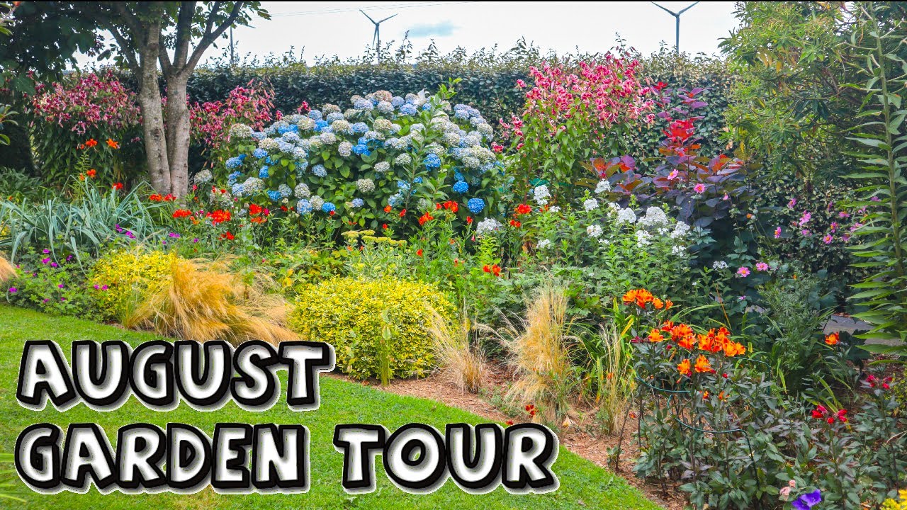 August Garden Tour || my Late Summer Blooms