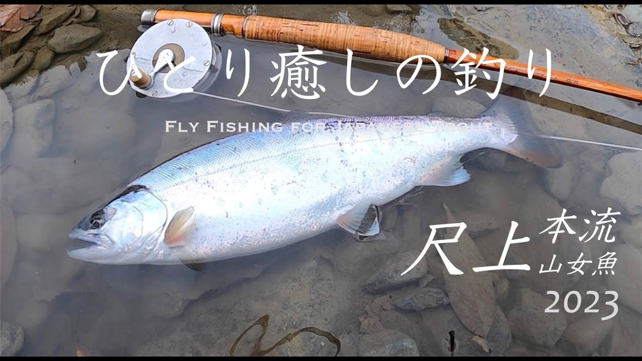 【尺上ヤマメ２本！　本流フライフィッシング】