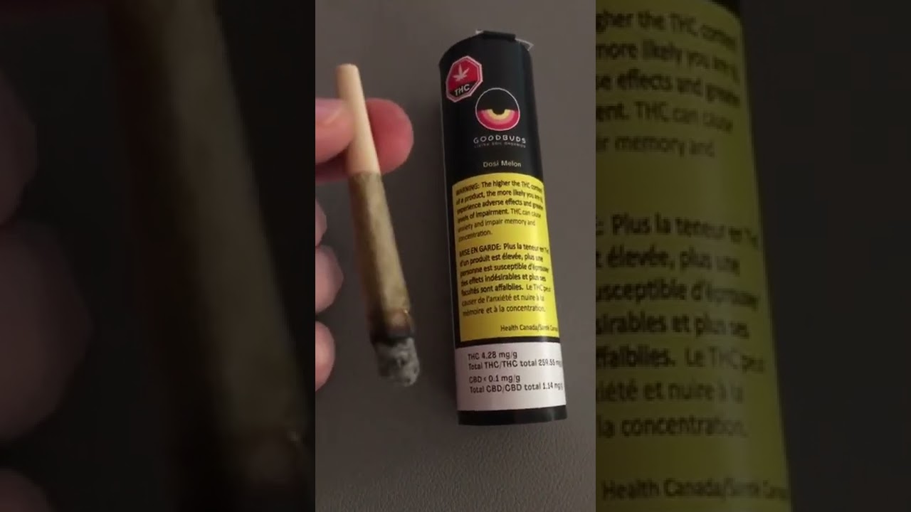 GOODBUDS Living Soil Organics Dosi melon Pre Roll Review