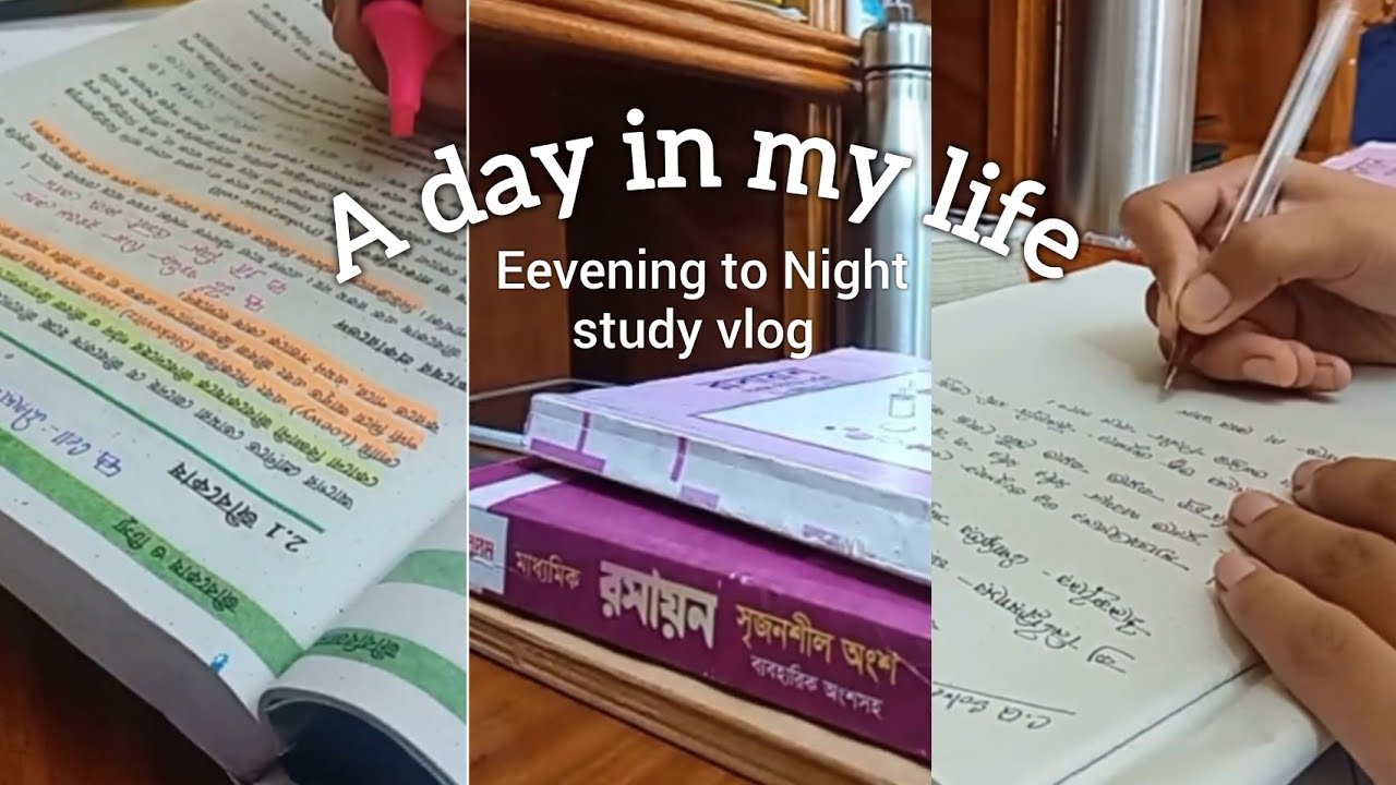 Evening to Night Study 🌆 | Study Vlog | Productive Riya