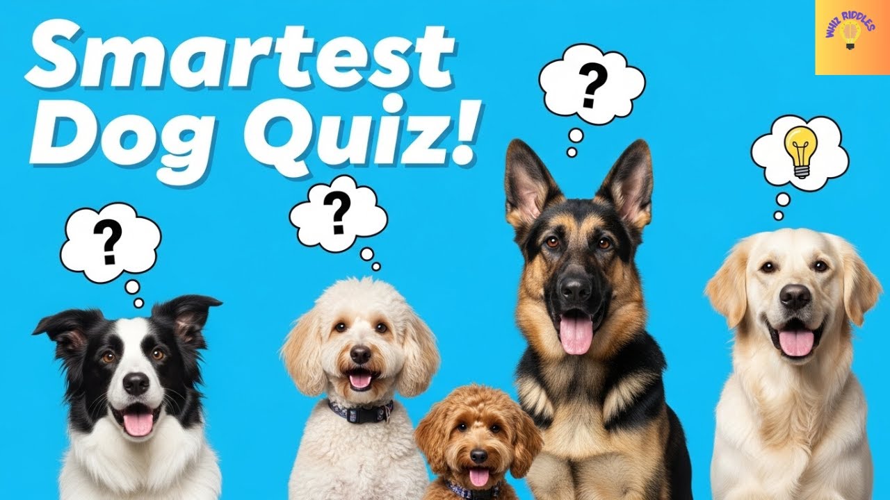 Top 10 Smartest Dog Breeds in the World | Fun Guessing Quiz for Pet Lovers