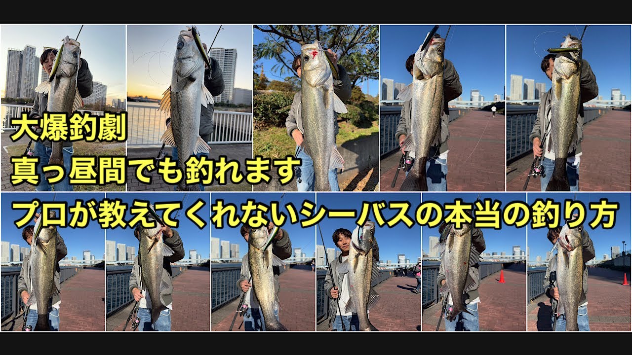 シーバスを根こそぎ釣ってしまうヤバい釣り方