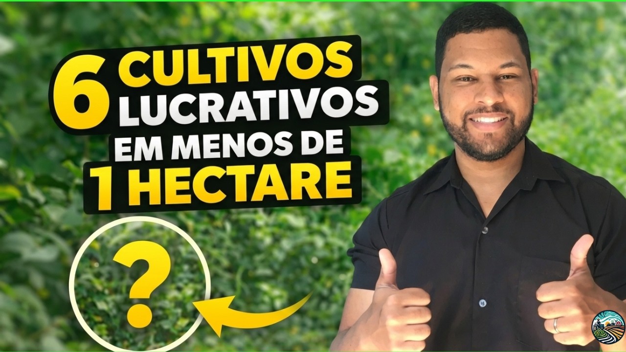 6 Culturas que Dão Lucro em 1 Hectare (Testadas e Viáveis)