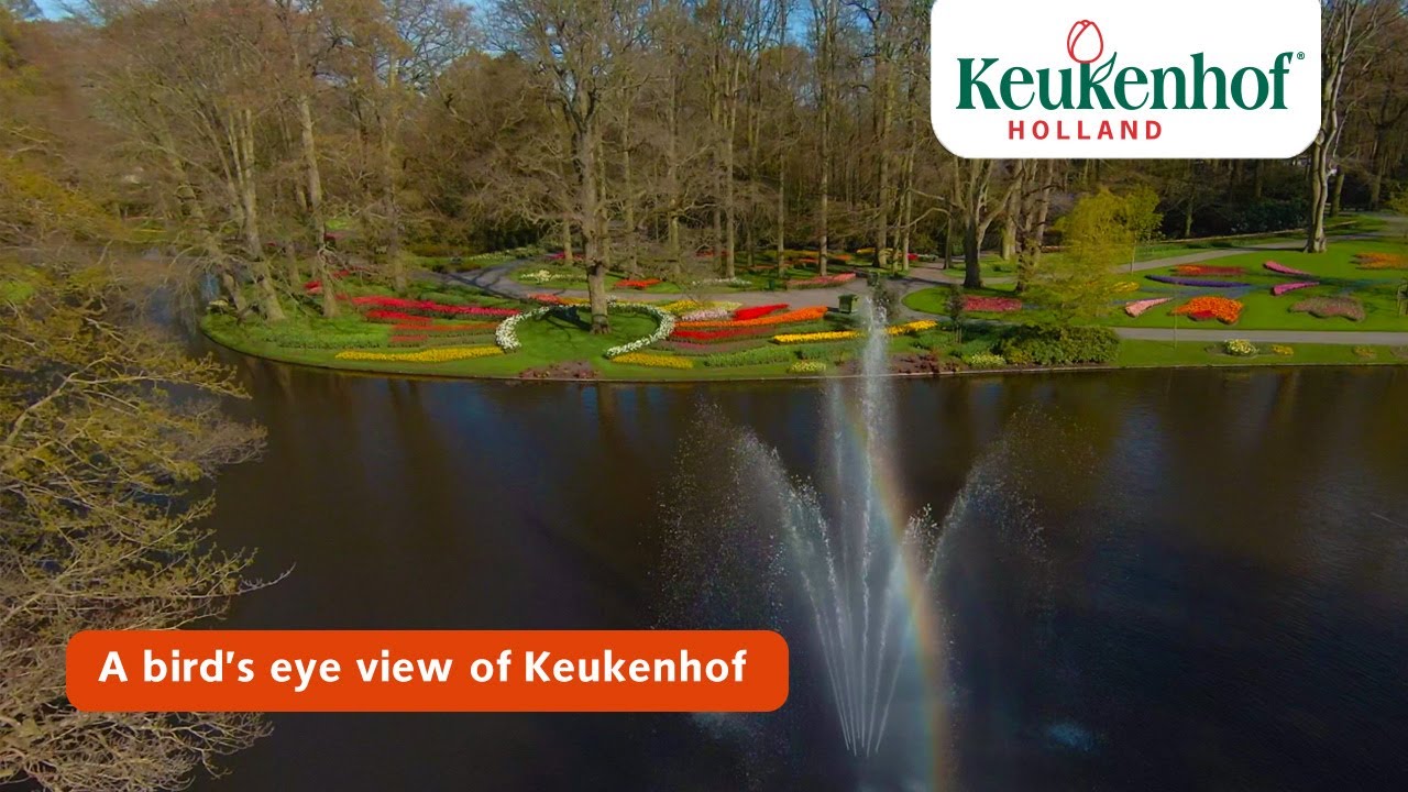 A bird’s eye view of Keukenhof | Keukenhof 2021🌷