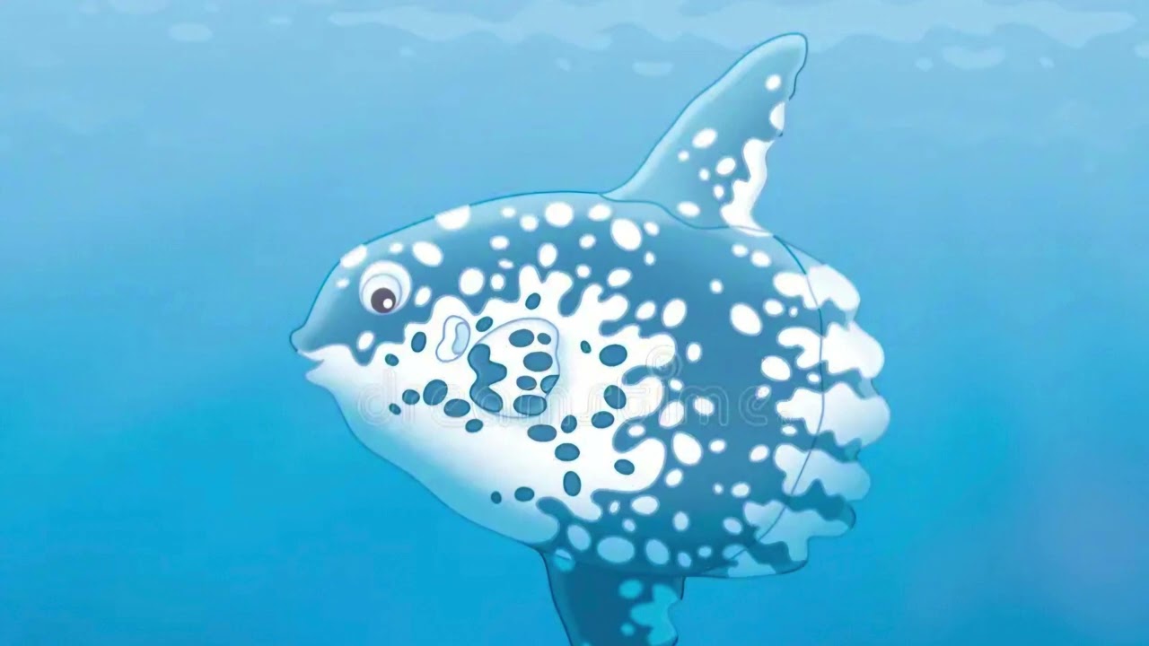 PEIXE   LUA