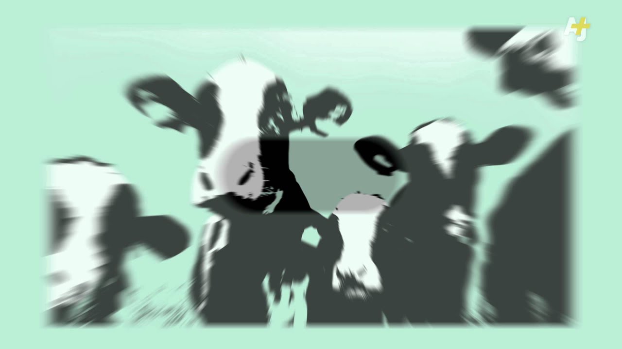 Why Many Antibiotics No Longer Work