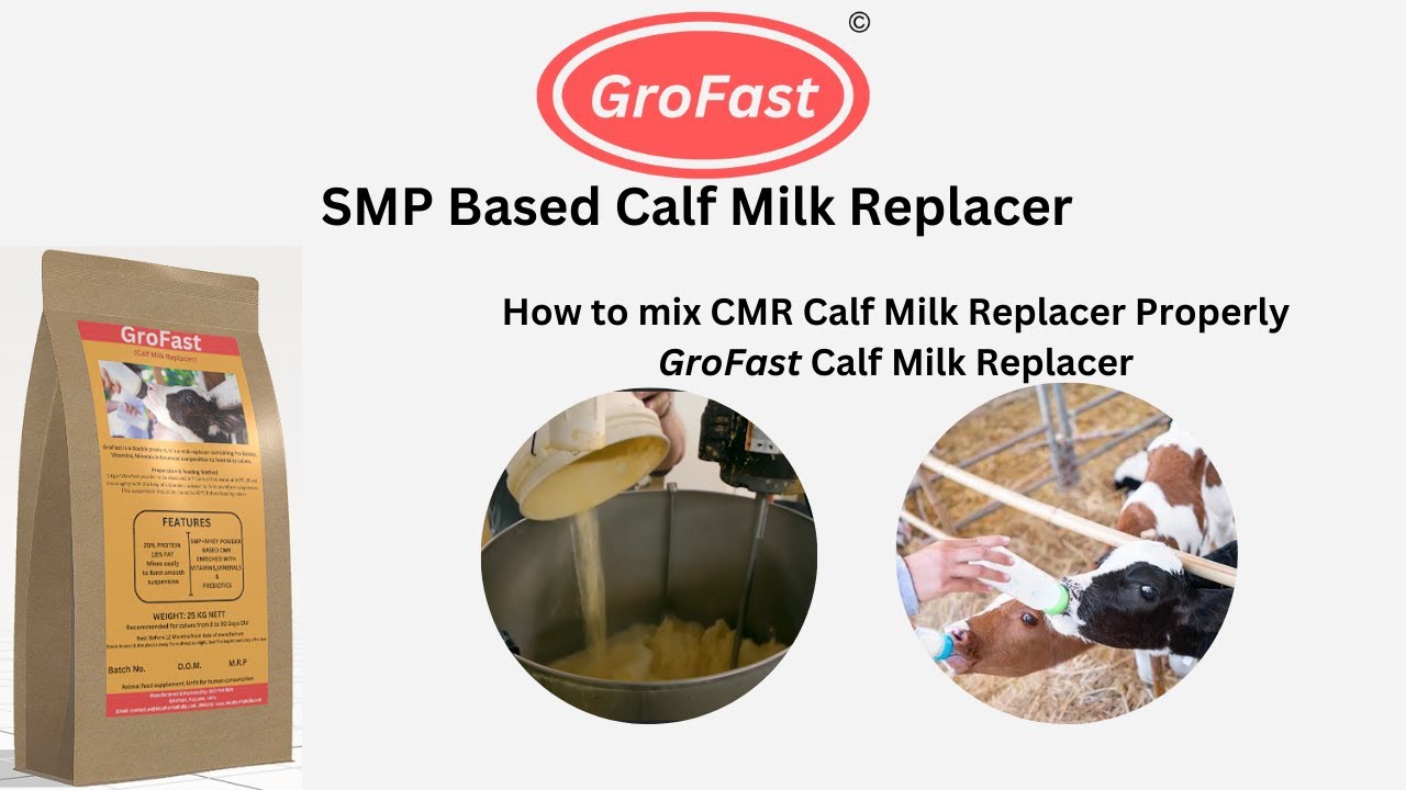 How to prepare / mix CMR (Calf Milk Replacer) Properly | GROFAST | |BIOPHARMA|