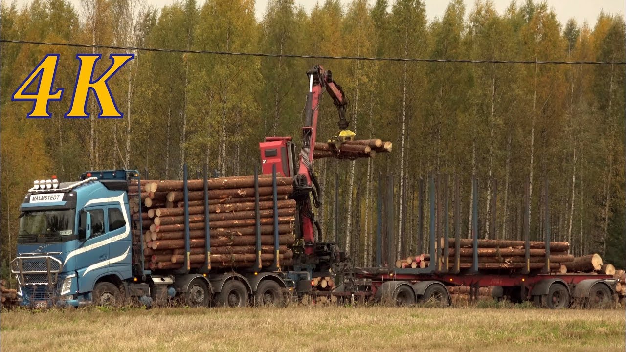 Volvo Truck FH16 - timber loading - 4K real time video - tukkirekan lastaus