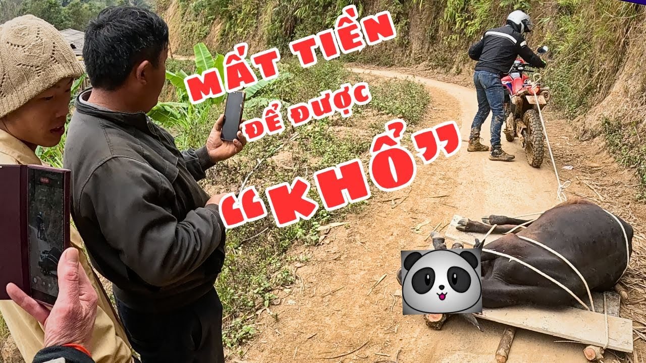 P2: DẪN 