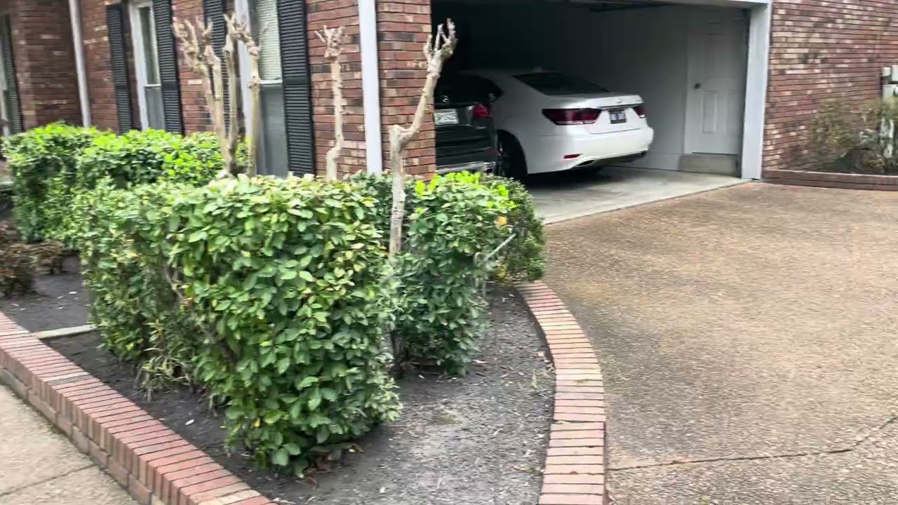 #DONERIGHT….front and back leaf removal 