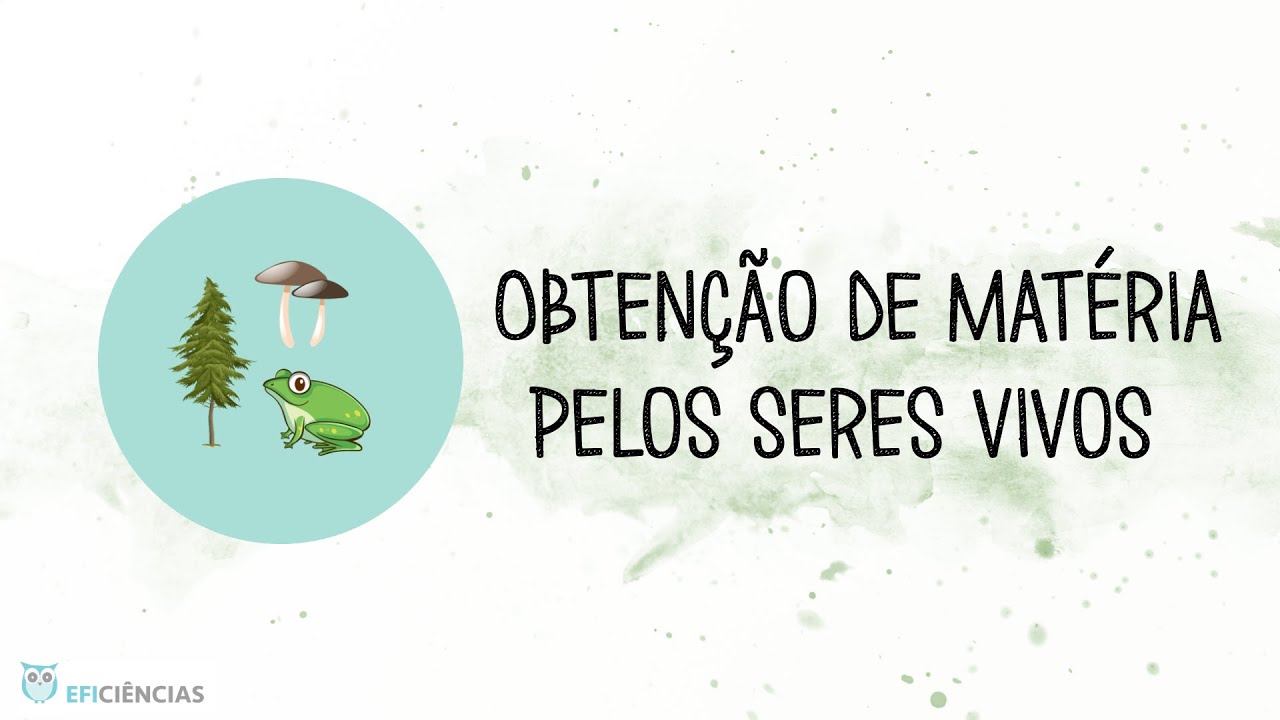 Obten&ccedil;&atilde;o de mat&eacute;ria pelos seres vivos - Biologia e Geologia 10&ordm;ano