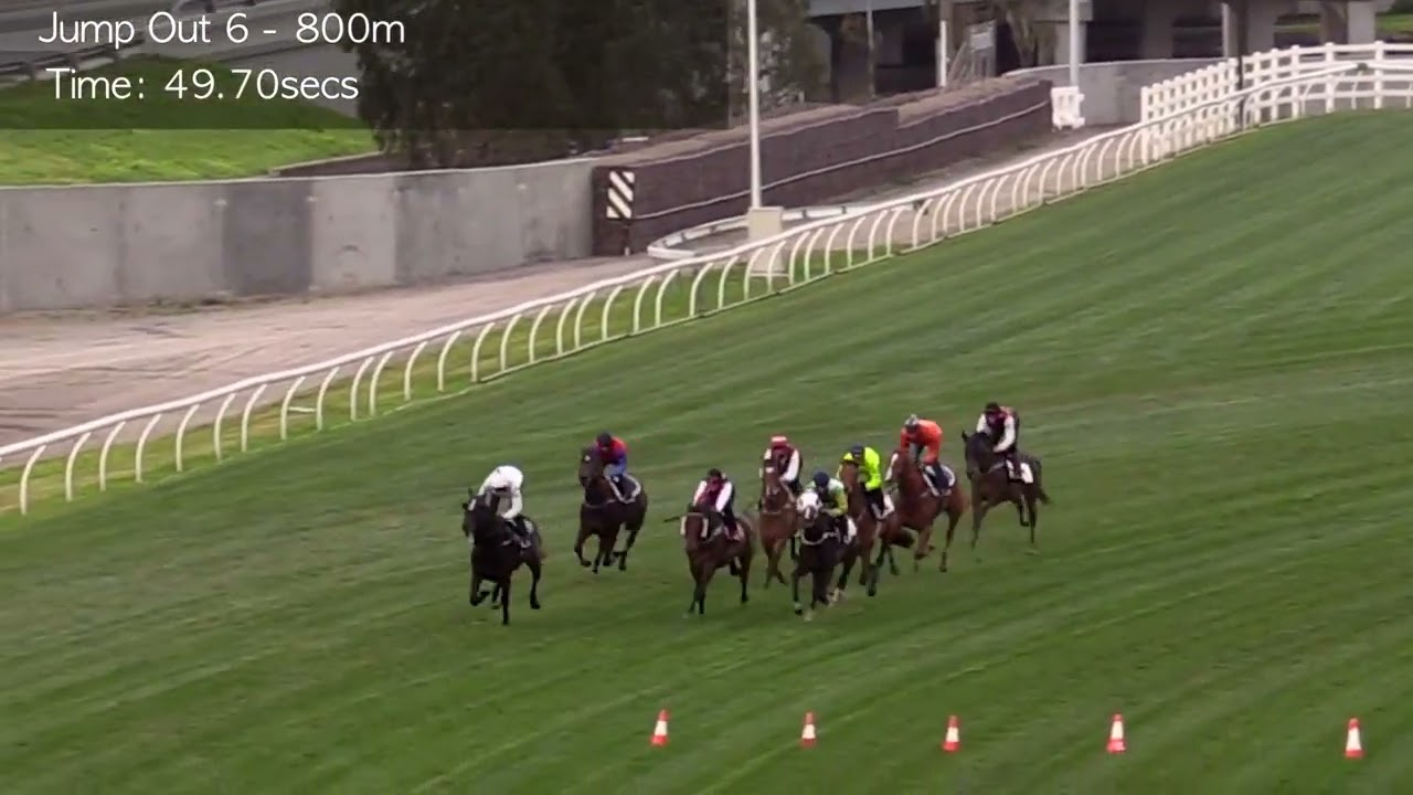 Jumpouts | 25 August 2016 | Heat 6