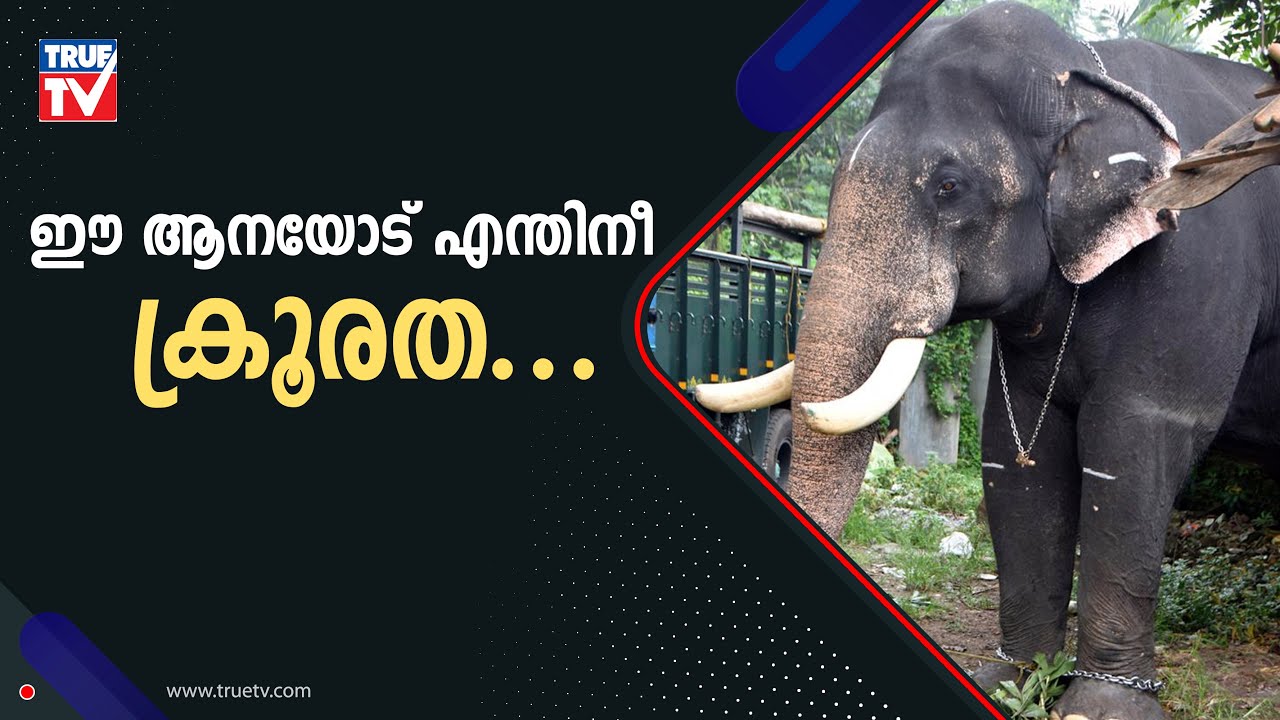 ആനയെ നോക്കാൻ കഴിവില്ലെങ്കിൽ കാട്ടിലേക്കു വിടു ദേവസ്വം ബോർഡെ... | HaripadTemple