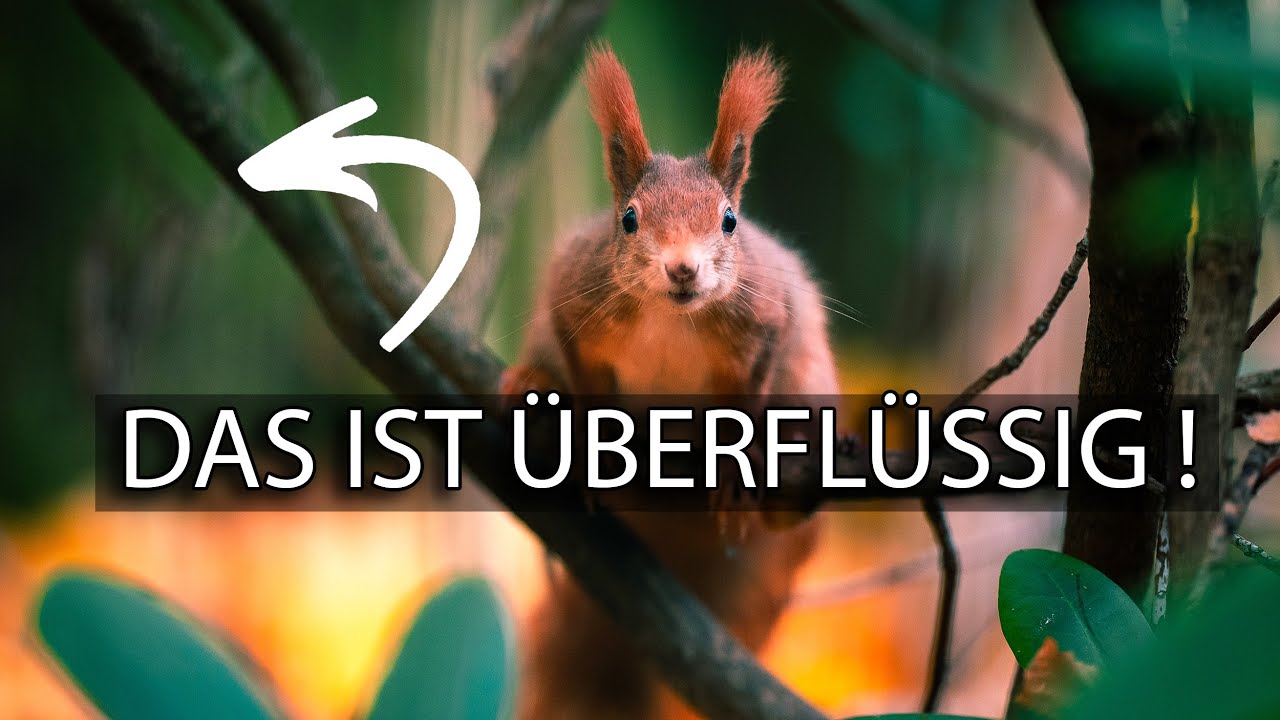 ZEITVERSCHWENDUNG ❗️ Häufigster Fehler beim Entrauschen!