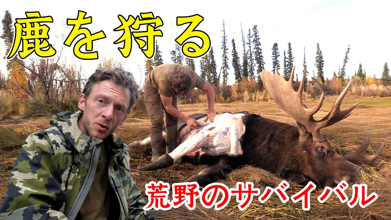 10人の参加者が生き残るために北極圏の荒野にやって来ました。ある男性は鹿を狩って、それをすべてバーベキューで調理して冬に備えました