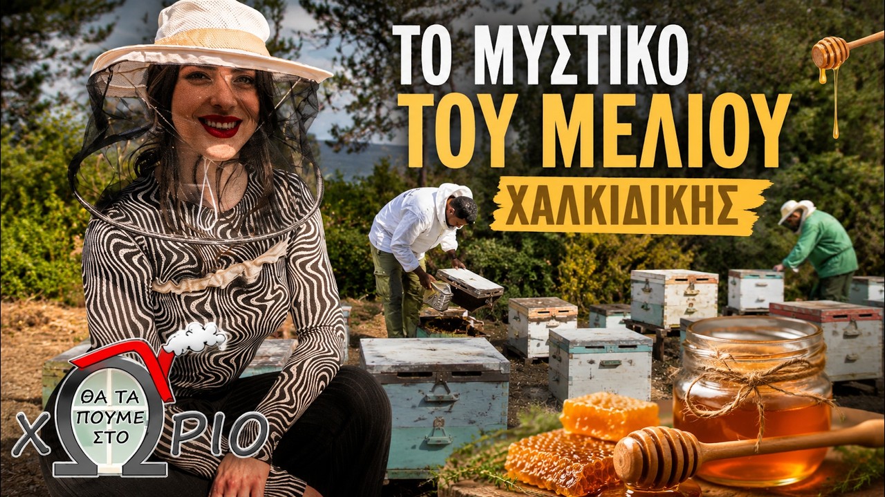 🐝 &laquo;&Tau;&omicron; &mu;&upsilon;&sigma;&tau;&iota;&kappa;ό &tau;&omicron;&upsilon; &Mu;&epsilon;&lambda;&iota;&omicron;ύ &Chi;&alpha;&lambda;&kappa;&iota;&delta;&iota;&kappa;ή&sigmaf; &ndash; &Gamma;&iota;&alpha;&tau;ί &theta;&epsilon;&omega;&rho;&epsilon;ί&tau;&alpha;&iota; &tau;&omicron; &kappa;&alpha;&lambda;ύ&tau;&epsilon;&rho;&omicron; &sigma;&tau;&eta;&nu; &Epsilon;&lambda;&lambda;ά&delta;&alpha;; 🍯&raquo;