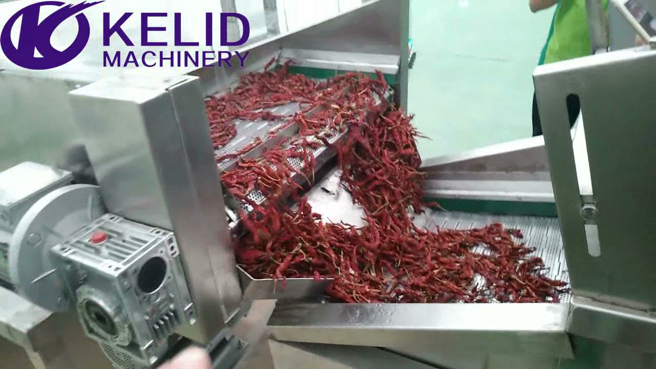 Commercial Red Chilli Washing and Cleaning Machine
